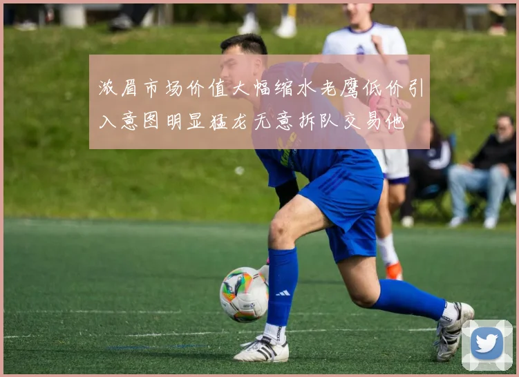 浓眉市场价值大幅缩水老鹰低价引入意图明显猛龙无意拆队交易他