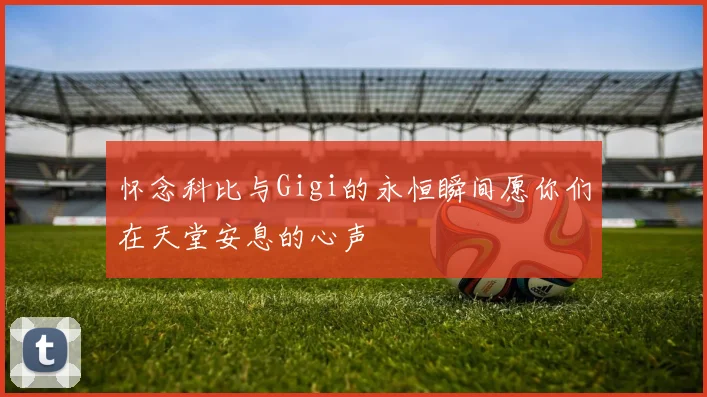 怀念科比与Gigi的永恒瞬间愿你们在天堂安息的心声